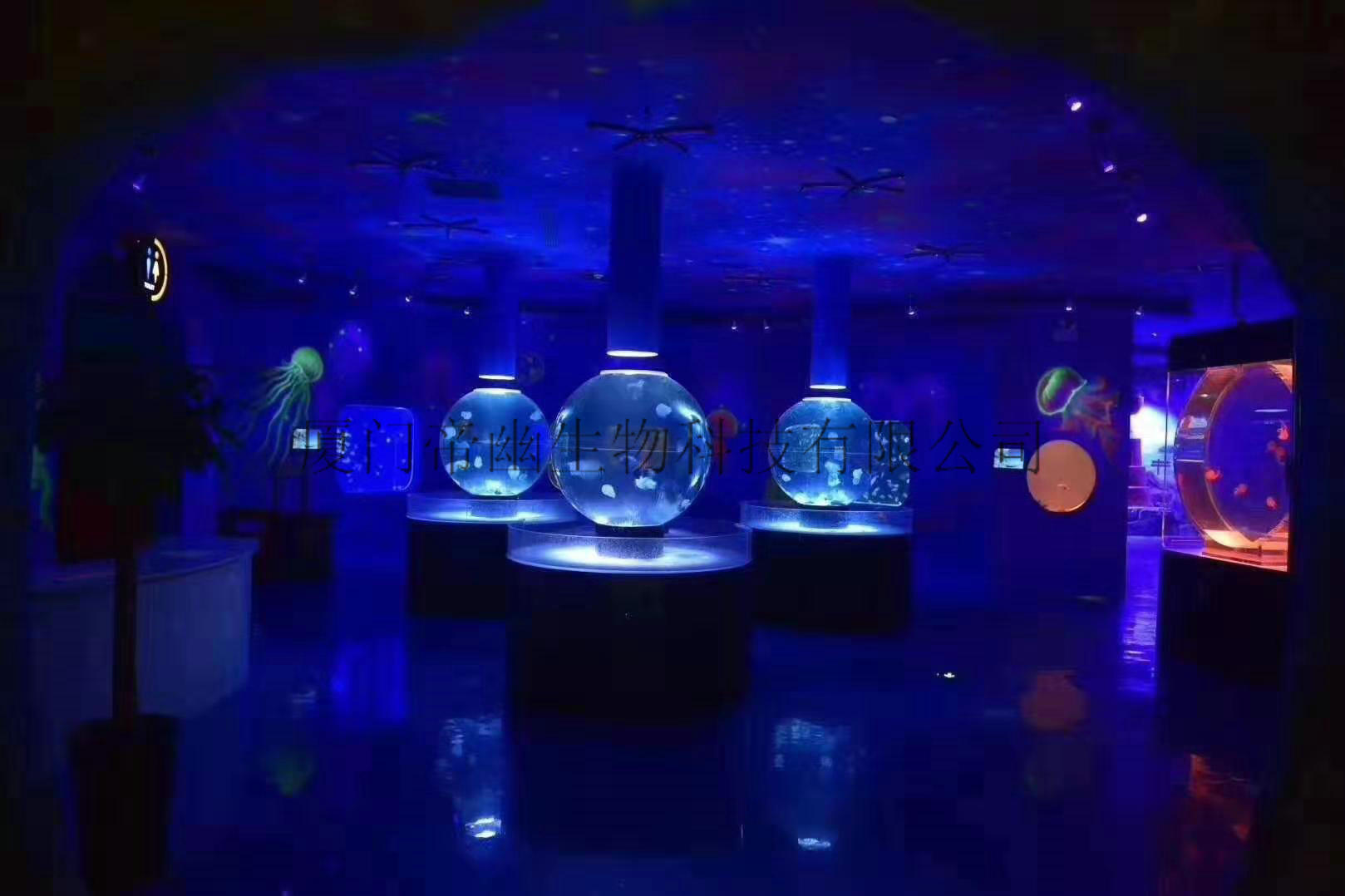水母館設(shè)計(jì)施工